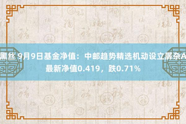 黑丝 9月9日基金净值：中邮趋势精选机动设立羼杂A最新净值0.419，跌0.71%