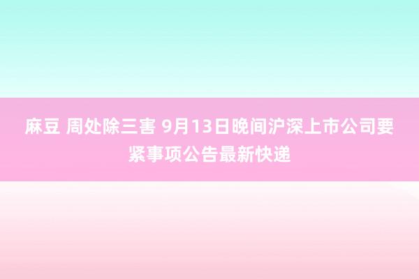 麻豆 周处除三害 9月13日晚间沪深上市公司要紧事项公告最新快递