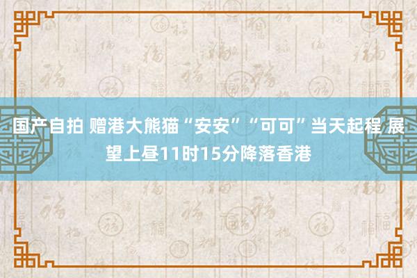 国产自拍 赠港大熊猫“安安”“可可”当天起程 展望上昼11时15分降落香港