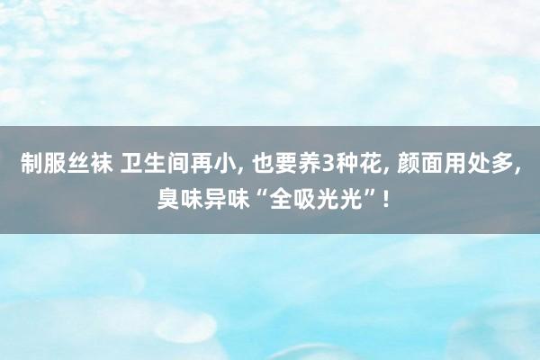 制服丝袜 卫生间再小， 也要养3种花， 颜面用处多， 臭味异味“全吸光光”!