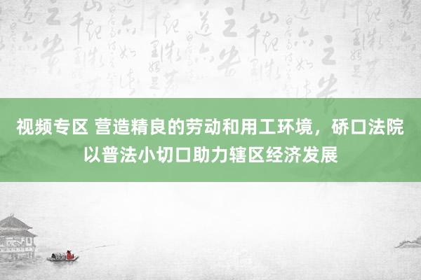 视频专区 营造精良的劳动和用工环境，硚口法院以普法小切口助力辖区经济发展