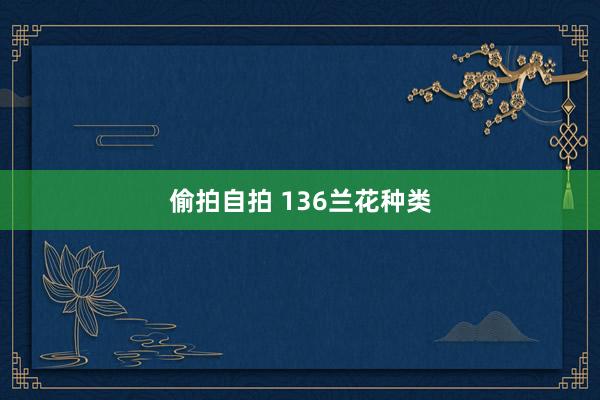 偷拍自拍 136兰花种类