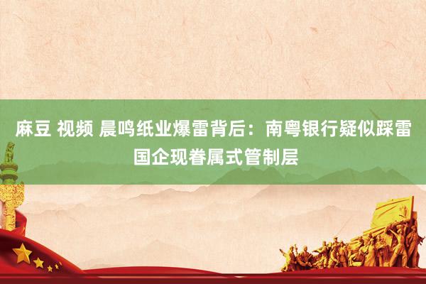 麻豆 视频 晨鸣纸业爆雷背后：南粤银行疑似踩雷 国企现眷属式管制层