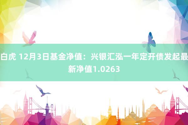 白虎 12月3日基金净值：兴银汇泓一年定开债发起最新净值1.0263