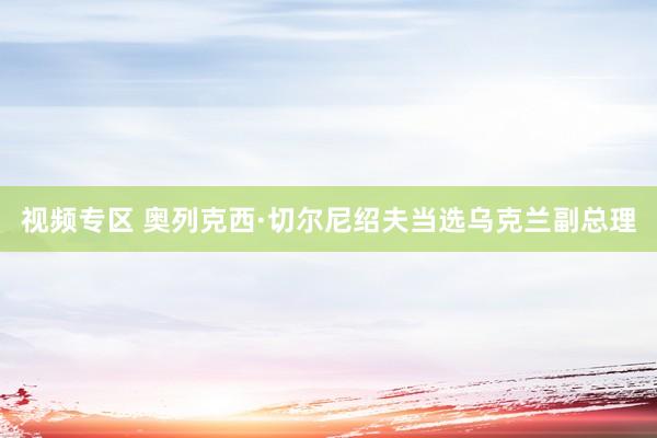 视频专区 奥列克西·切尔尼绍夫当选乌克兰副总理