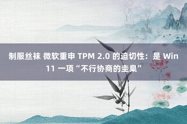 制服丝袜 微软重申 TPM 2.0 的迫切性：是 Win11 一项“不行协商的圭臬”
