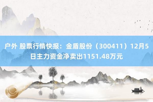 户外 股票行情快报：金盾股份（300411）12月5日主力资金净卖出1151.48万元