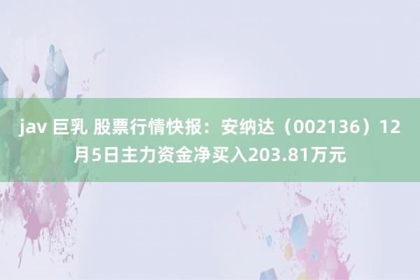 jav 巨乳 股票行情快报：安纳达（002136）12月5日主力资金净买入203.81万元