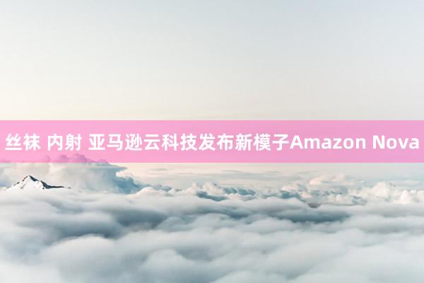 丝袜 内射 亚马逊云科技发布新模子Amazon Nova