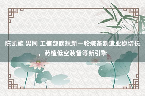 陈凯歌 男同 工信部瞎想新一轮装备制造业稳增长，莳植低空装备等新引擎