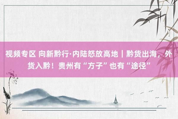 视频专区 向新黔行·内陆怒放高地｜黔货出海，外货入黔！贵州有“方子”也有“途径”