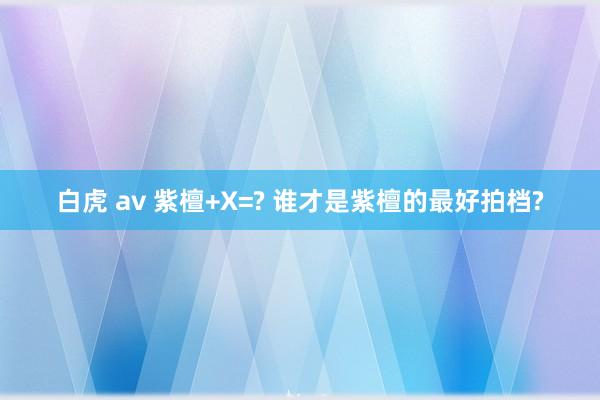 白虎 av 紫檀+X=? 谁才是紫檀的最好拍档?