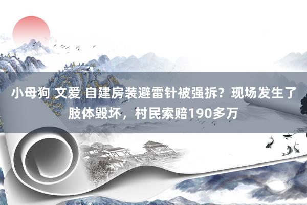 小母狗 文爱 自建房装避雷针被强拆？现场发生了肢体毁坏，村民索赔190多万