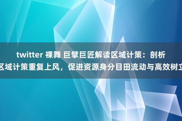 twitter 裸舞 巨擘巨匠解读区域计策：剖析区域计策重复上风，促进资源身分目田流动与高效树立