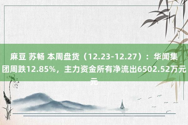 麻豆 苏畅 本周盘货（12.23-12.27）：华闻集团周跌12.85%，主力资金所有净流出6502.52万元