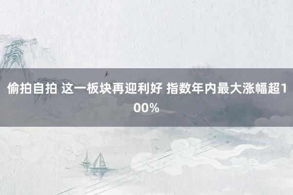 偷拍自拍 这一板块再迎利好 指数年内最大涨幅超100%