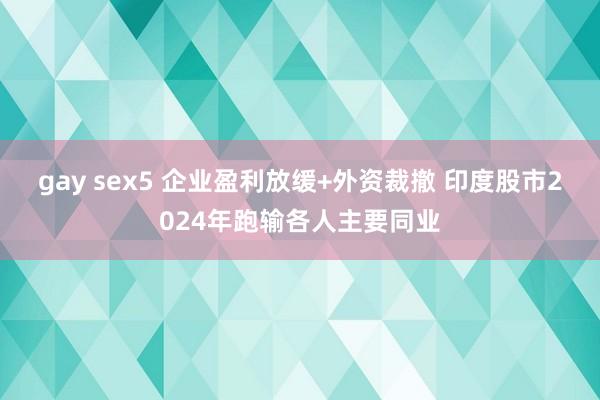 gay sex5 企业盈利放缓+外资裁撤 印度股市2024年跑输各人主要同业