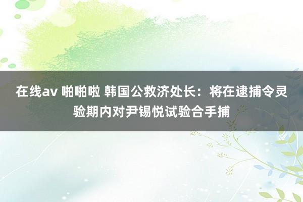在线av 啪啪啦 韩国公救济处长：将在逮捕令灵验期内对尹锡悦试验合手捕