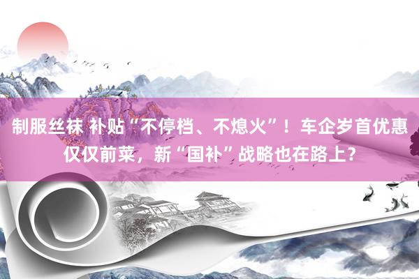 制服丝袜 补贴“不停档、不熄火”！车企岁首优惠仅仅前菜，新“国补”战略也在路上？