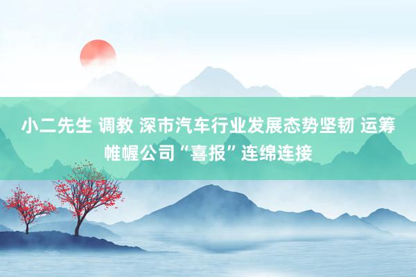 小二先生 调教 深市汽车行业发展态势坚韧 运筹帷幄公司“喜报”连绵连接