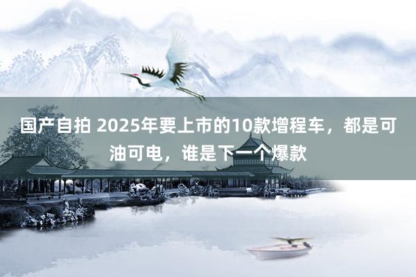 国产自拍 2025年要上市的10款增程车，都是可油可电，谁是下一个爆款