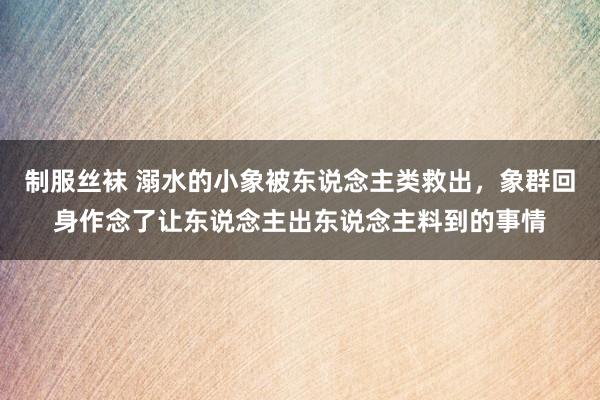 制服丝袜 溺水的小象被东说念主类救出，象群回身作念了让东说念主出东说念主料到的事情