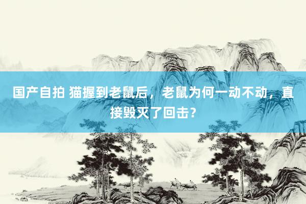 国产自拍 猫握到老鼠后，老鼠为何一动不动，直接毁灭了回击？