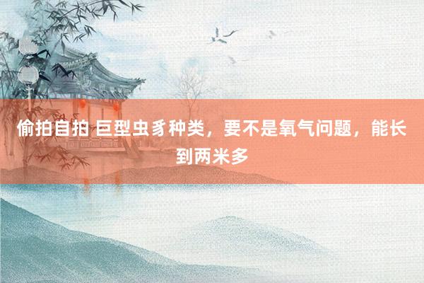 偷拍自拍 巨型虫豸种类，要不是氧气问题，能长到两米多