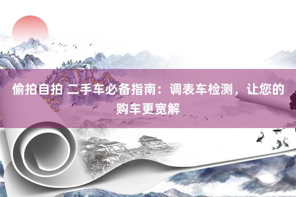 偷拍自拍 二手车必备指南：调表车检测，让您的购车更宽解