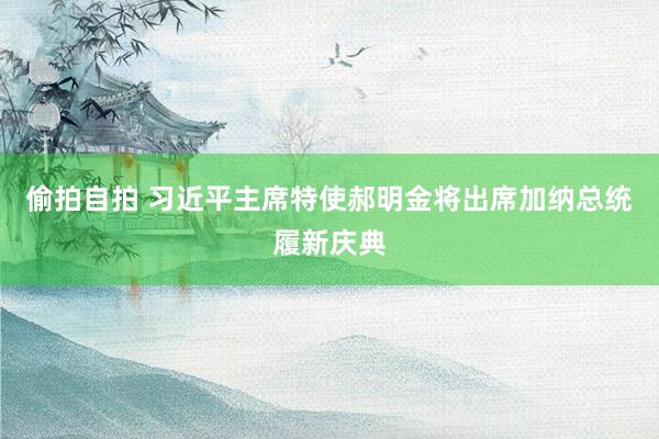偷拍自拍 习近平主席特使郝明金将出席加纳总统履新庆典