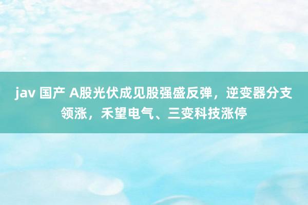 jav 国产 A股光伏成见股强盛反弹，逆变器分支领涨，禾望电气、三变科技涨停