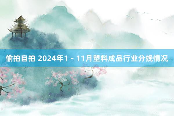 偷拍自拍 2024年1－11月塑料成品行业分娩情况