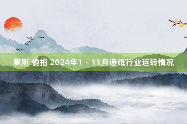 厕所 偷拍 2024年1－11月造纸行业运转情况