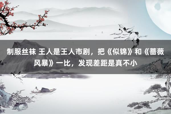 制服丝袜 王人是王人市剧，把《似锦》和《蔷薇风暴》一比，发现差距是真不小