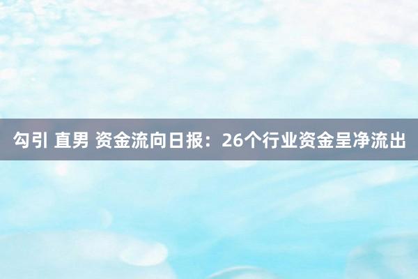 勾引 直男 资金流向日报：26个行业资金呈净流出