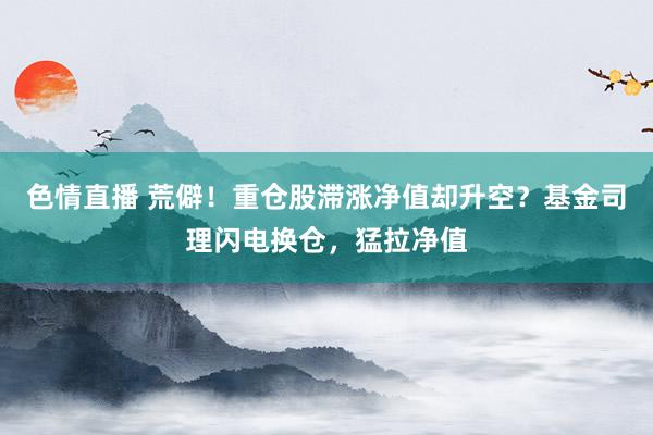 色情直播 荒僻！重仓股滞涨净值却升空？基金司理闪电换仓，猛拉净值