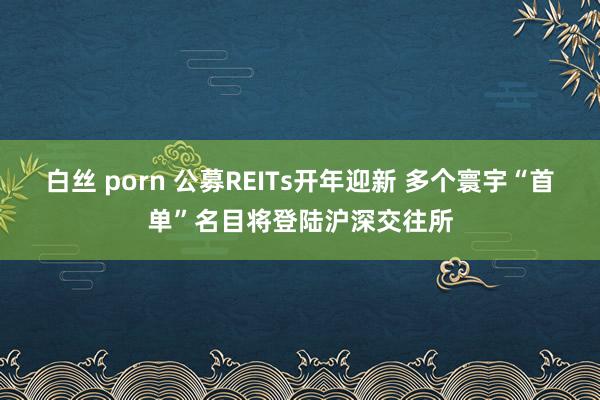 白丝 porn 公募REITs开年迎新 多个寰宇“首单”名目将登陆沪深交往所