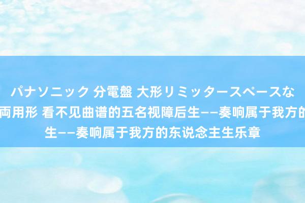 パナソニック 分電盤 大形リミッタースペースなし 露出・半埋込両用形 看不见曲谱的五名视障后生——奏响属于我方的东说念主生乐章