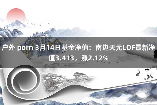 户外 porn 3月14日基金净值：南边天元LOF最新净值3.413，涨2.12%