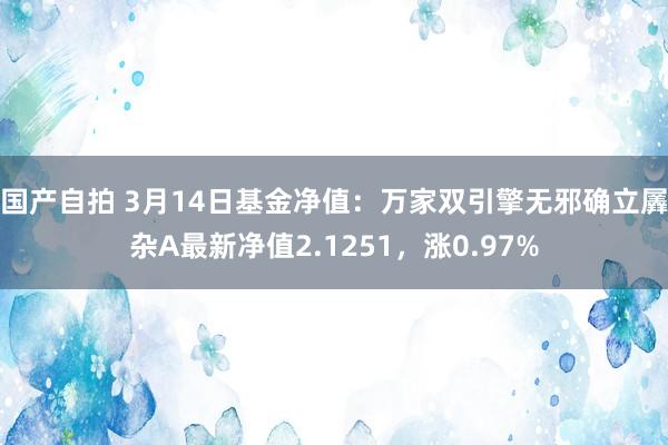 国产自拍 3月14日基金净值：万家双引擎无邪确立羼杂A最新净值2.1251，涨0.97%
