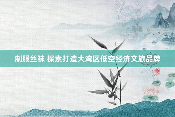 制服丝袜 探索打造大湾区低空经济文旅品牌