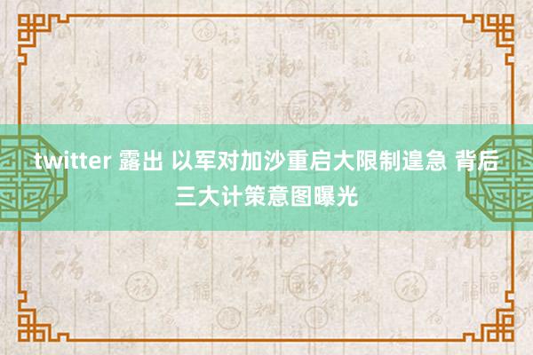 twitter 露出 以军对加沙重启大限制遑急 背后三大计策意图曝光