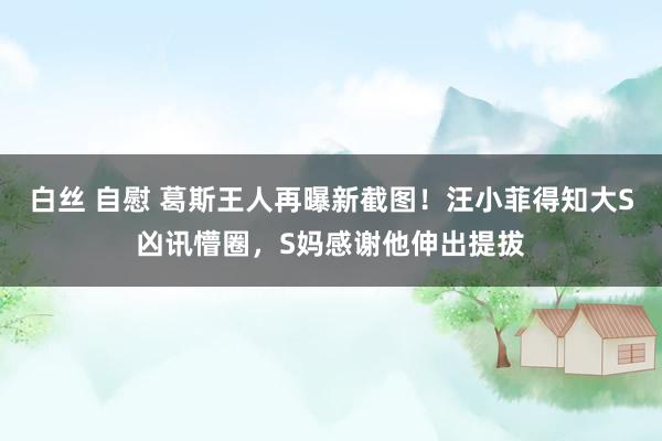 白丝 自慰 葛斯王人再曝新截图！汪小菲得知大S凶讯懵圈，S妈感谢他伸出提拔