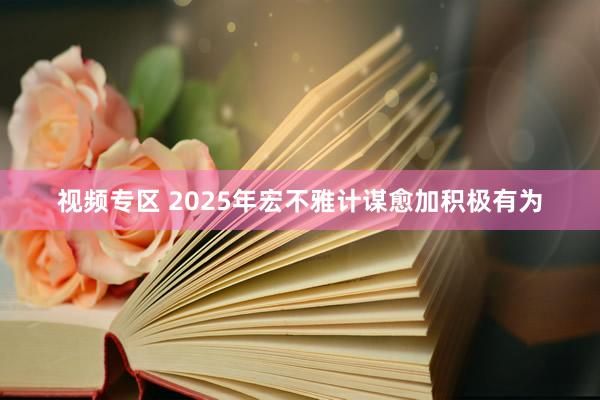 视频专区 2025年宏不雅计谋愈加积极有为