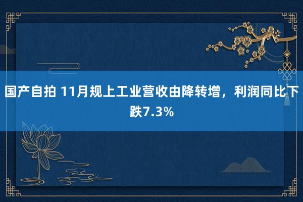 国产自拍 11月规上工业营收由降转增，利润同比下跌7.3%