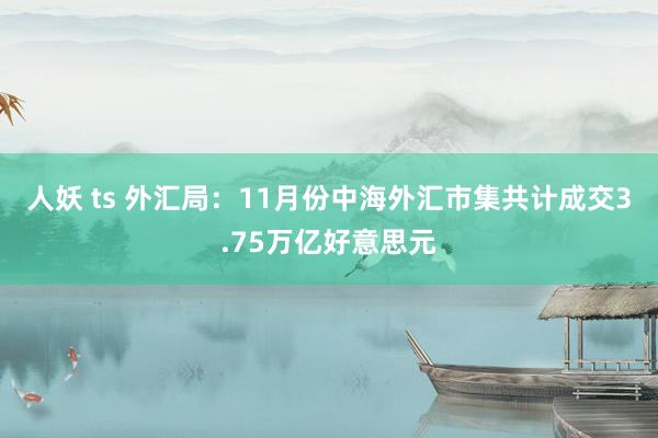 人妖 ts 外汇局：11月份中海外汇市集共计成交3.75万亿好意思元