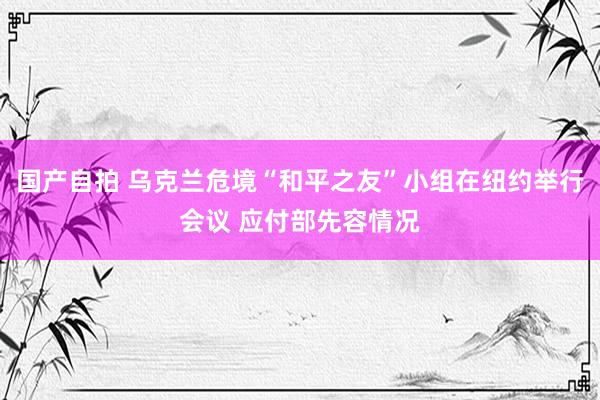 国产自拍 乌克兰危境“和平之友”小组在纽约举行会议 应付部先容情况