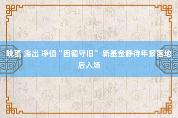 跳蛋 露出 净值“因循守旧” 新基金静待年报落地后入场