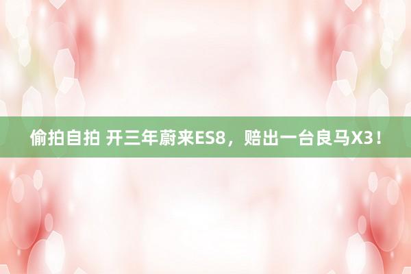 偷拍自拍 开三年蔚来ES8，赔出一台良马X3！