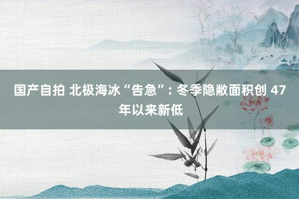国产自拍 北极海冰“告急”: 冬季隐敝面积创 47 年以来新低